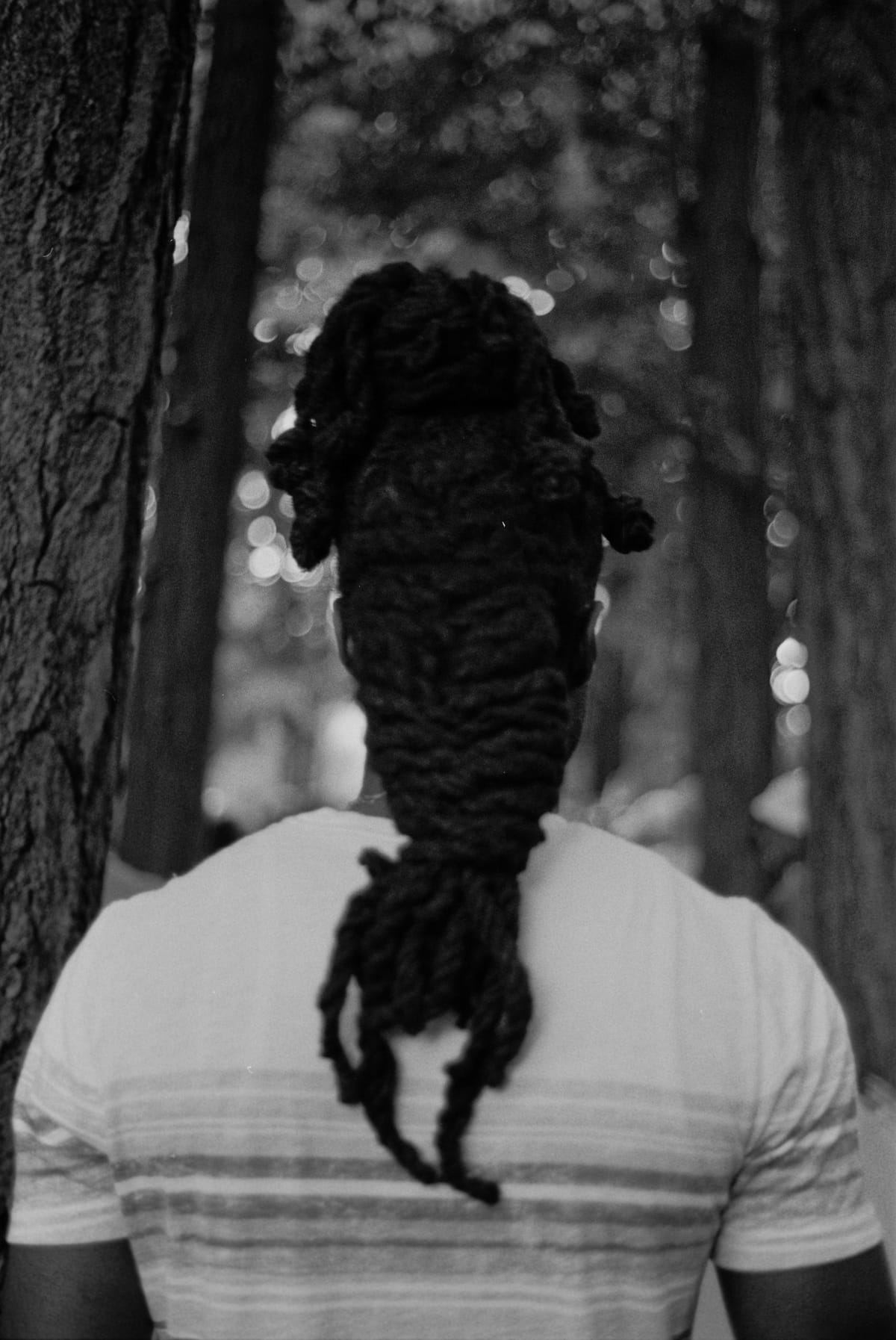 Focus on Fort Greens